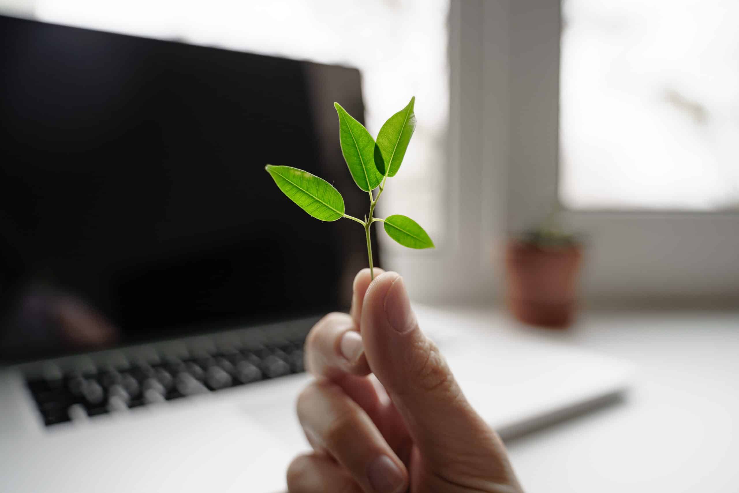 hand-with-green-plant-on-the-laptop-background-e-2022-11-07-01-38-39-utc